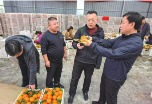 a238a36f529b9e5a7508337460e965f9.png 4.png